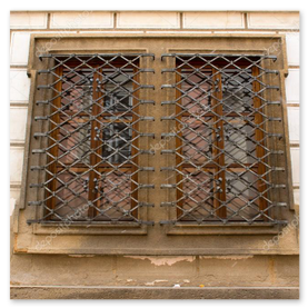 Black window security grille